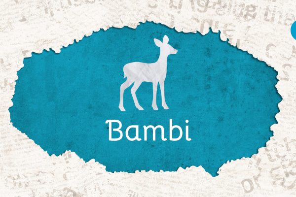 202526_ELOPLAKAT_bambi_fb